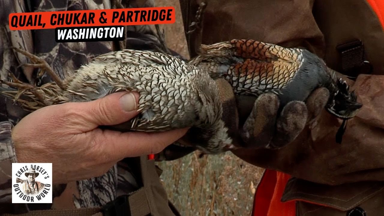 Upland Hunting in Washington's Stunning Columbia River Country