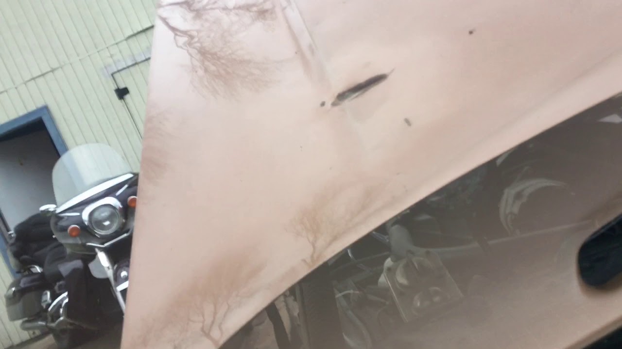 1979 Firebird EGR System Inspection