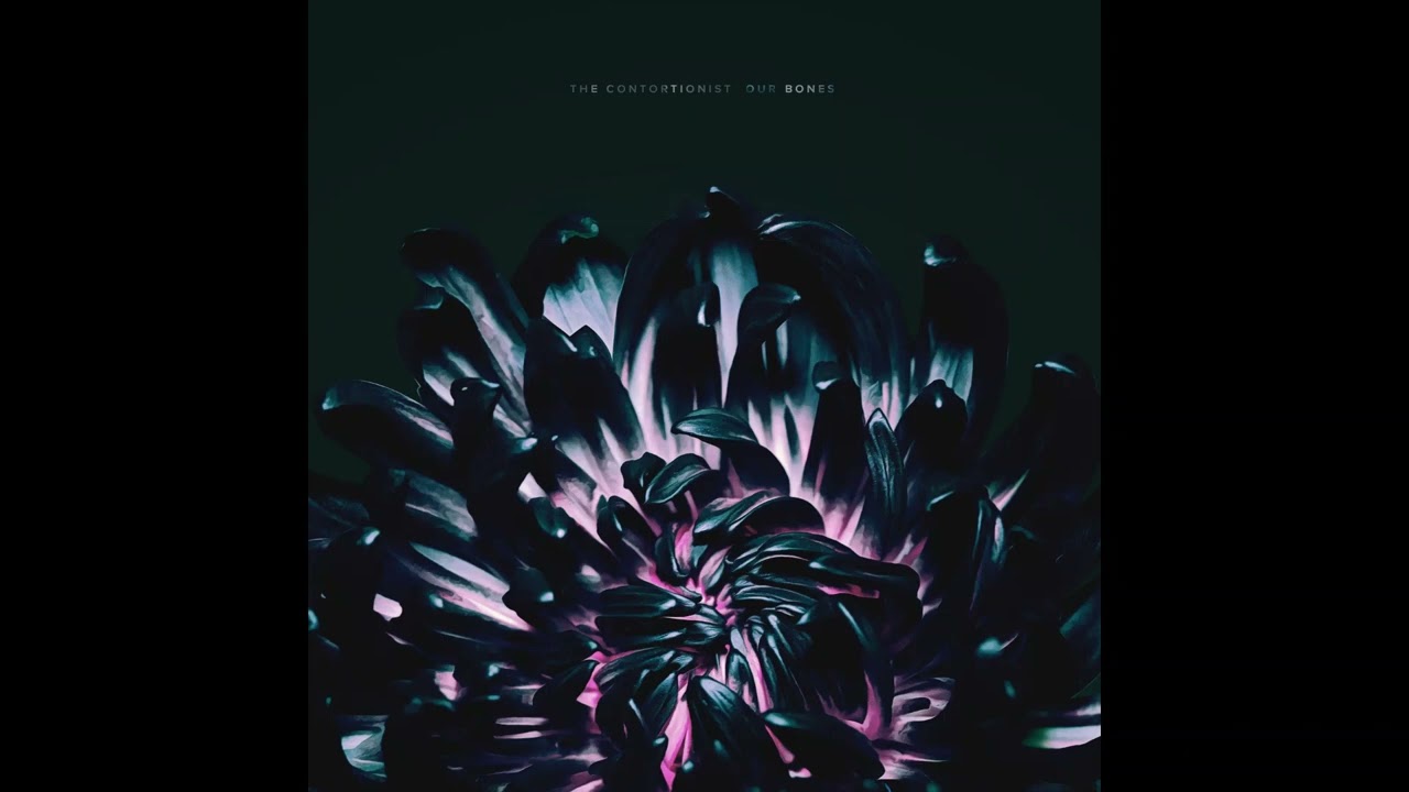 The Contortionist (Progressive Metal) - Our Bones [Full EP]