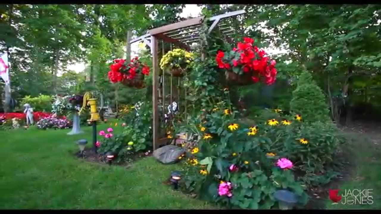 Backyard Oasis