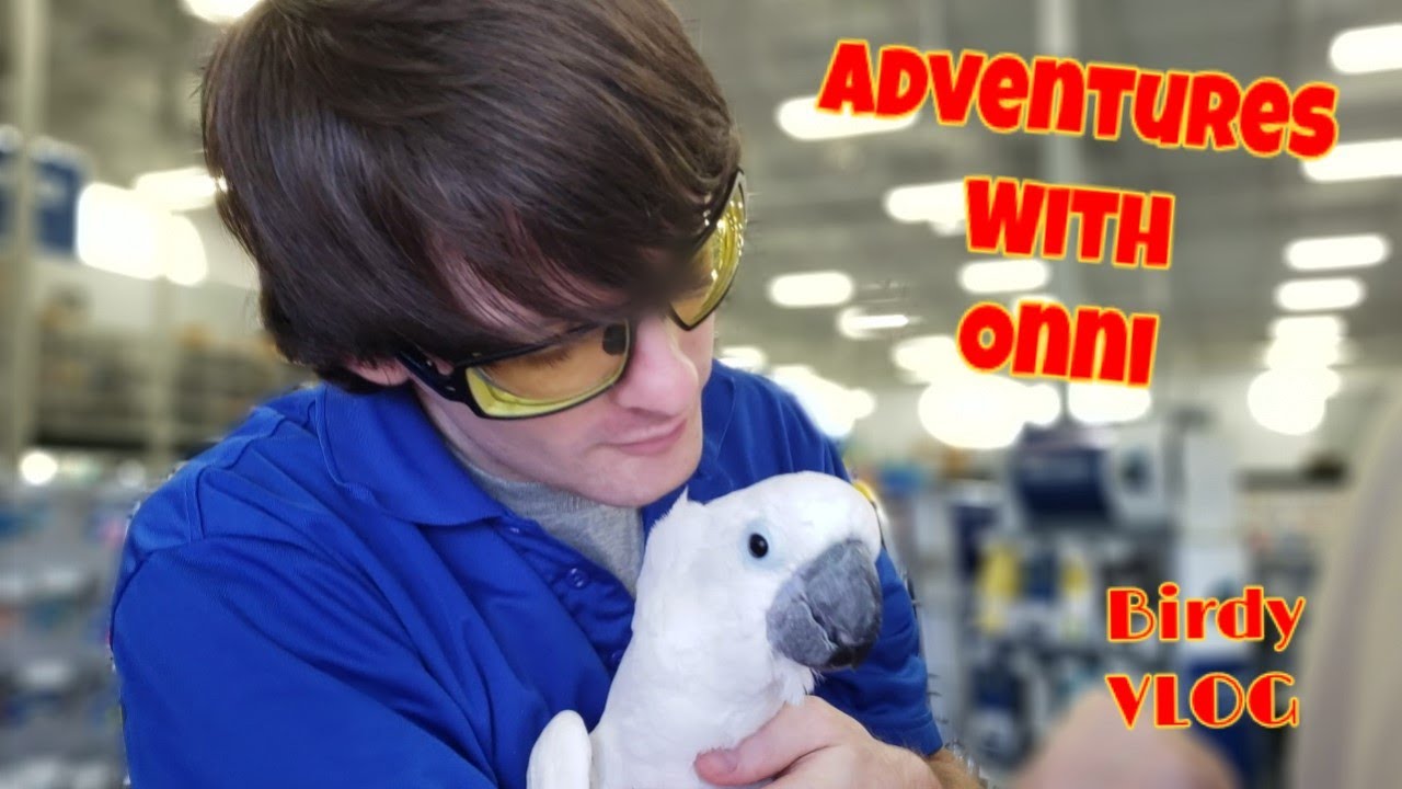 Just Another Trip For Onni [Birdy VLOG]