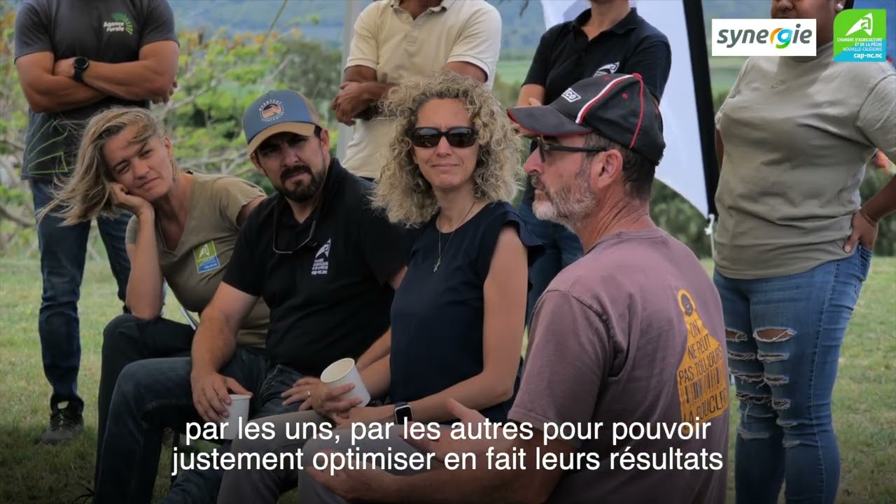 Matinée de l'énergie