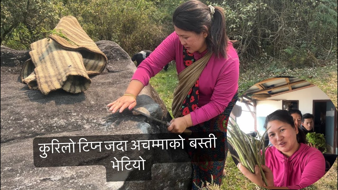 कुरिलो टिप्न जदा जंगलको बिचमा १००बर्ष अगाडीको भोटेबाजेको घरको निशान भेटियो#