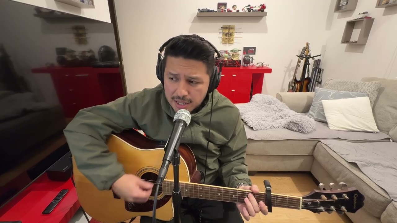 While The Song Remains The Same (Noel Gallagher Acoustic Cover)