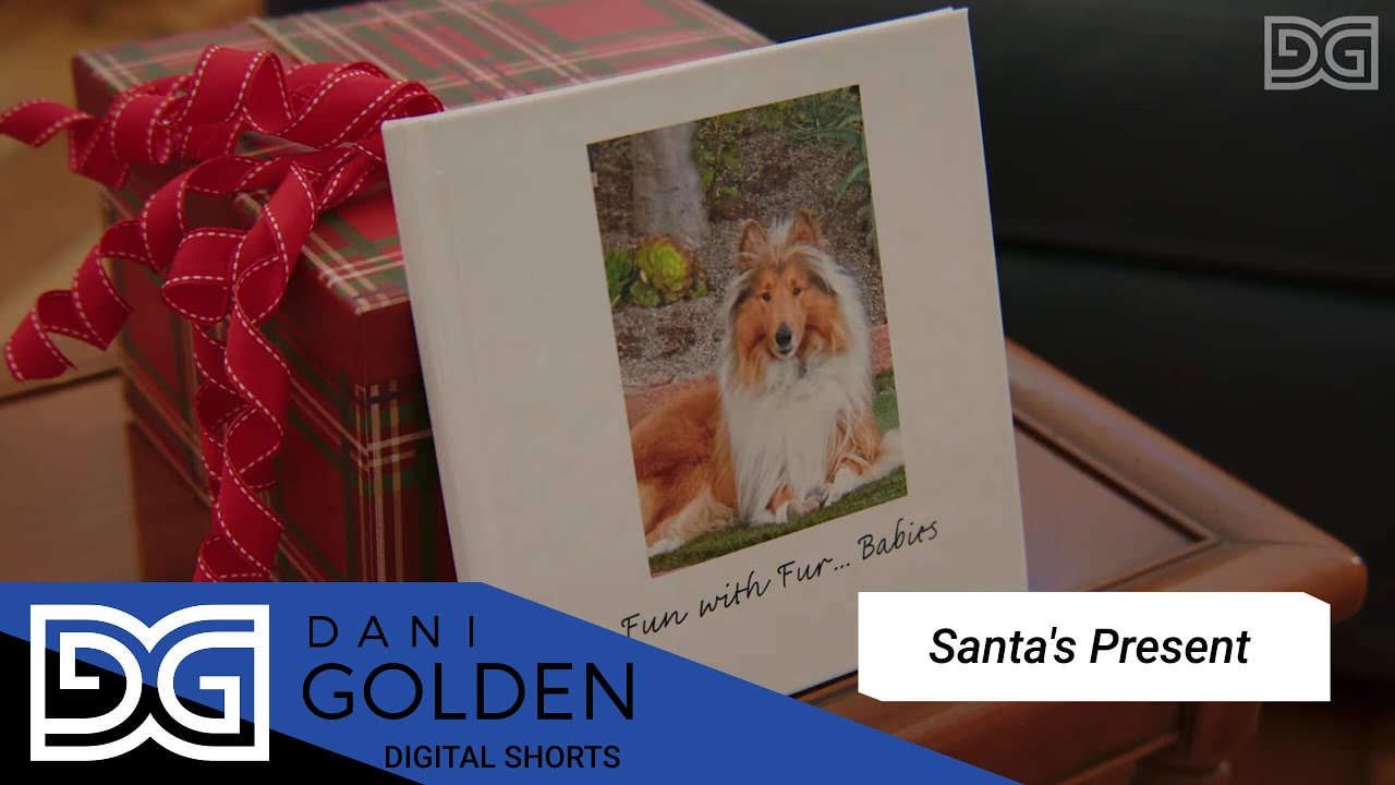 Santa's Present #santaspresent #danigolden #comedyskits