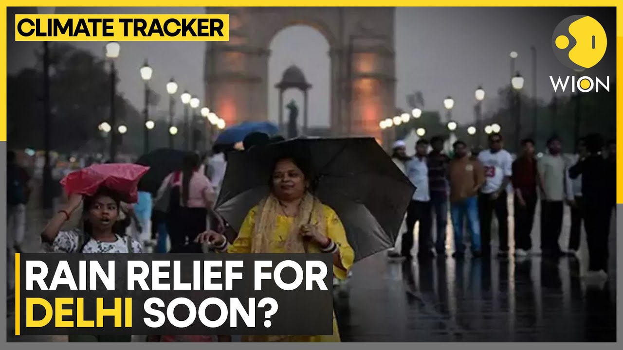 India: Yellow alert for rains in Delhi | World News | WION Climate Tracker