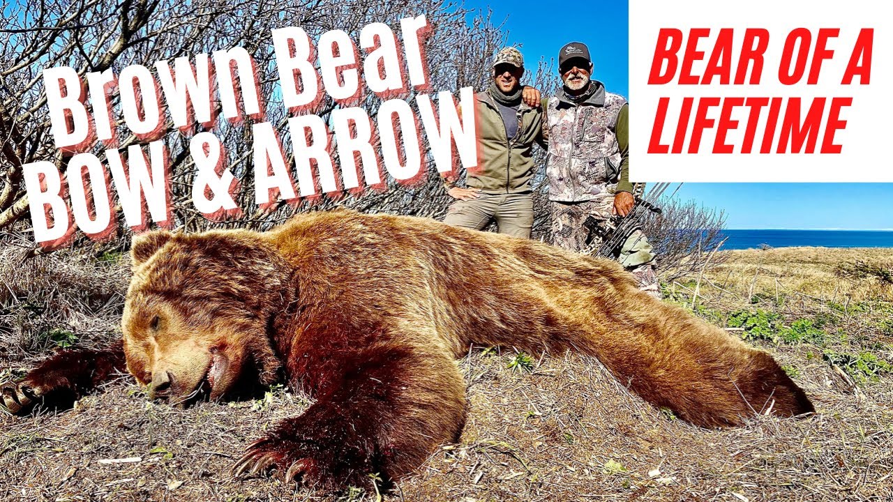 BOWHUNTING MONSTER BROWN BEARS | ALASKA PENINSULA | RECORD BOOK BEAR