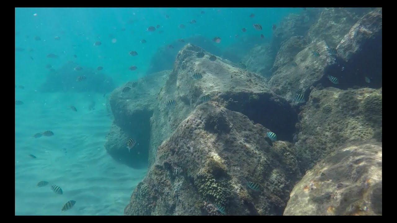 Snorkeling at South Friars Bay on the island of  St Kitts
