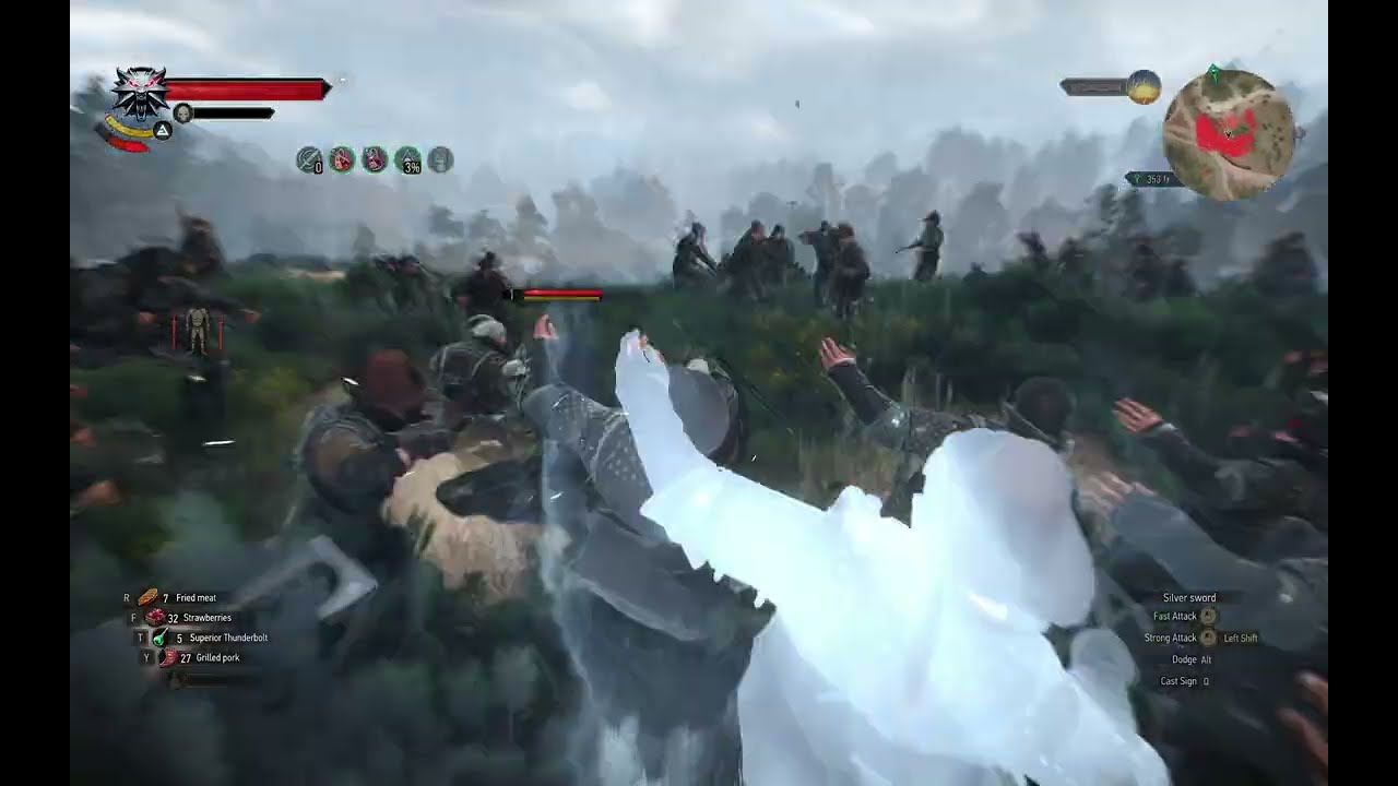 Witcher Epic Combat Sequence