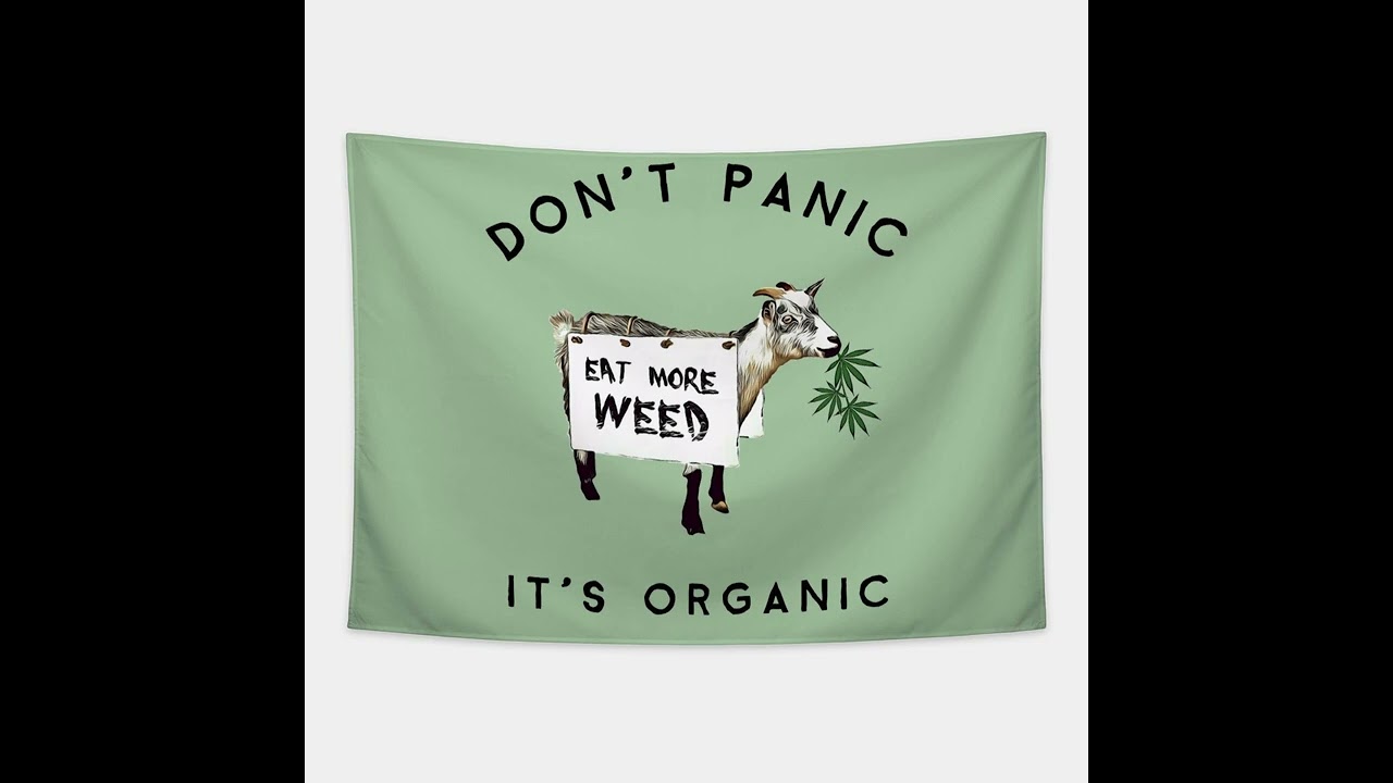 Don't panic it's Organic | official music video | KABz on the beat produce@sik_music