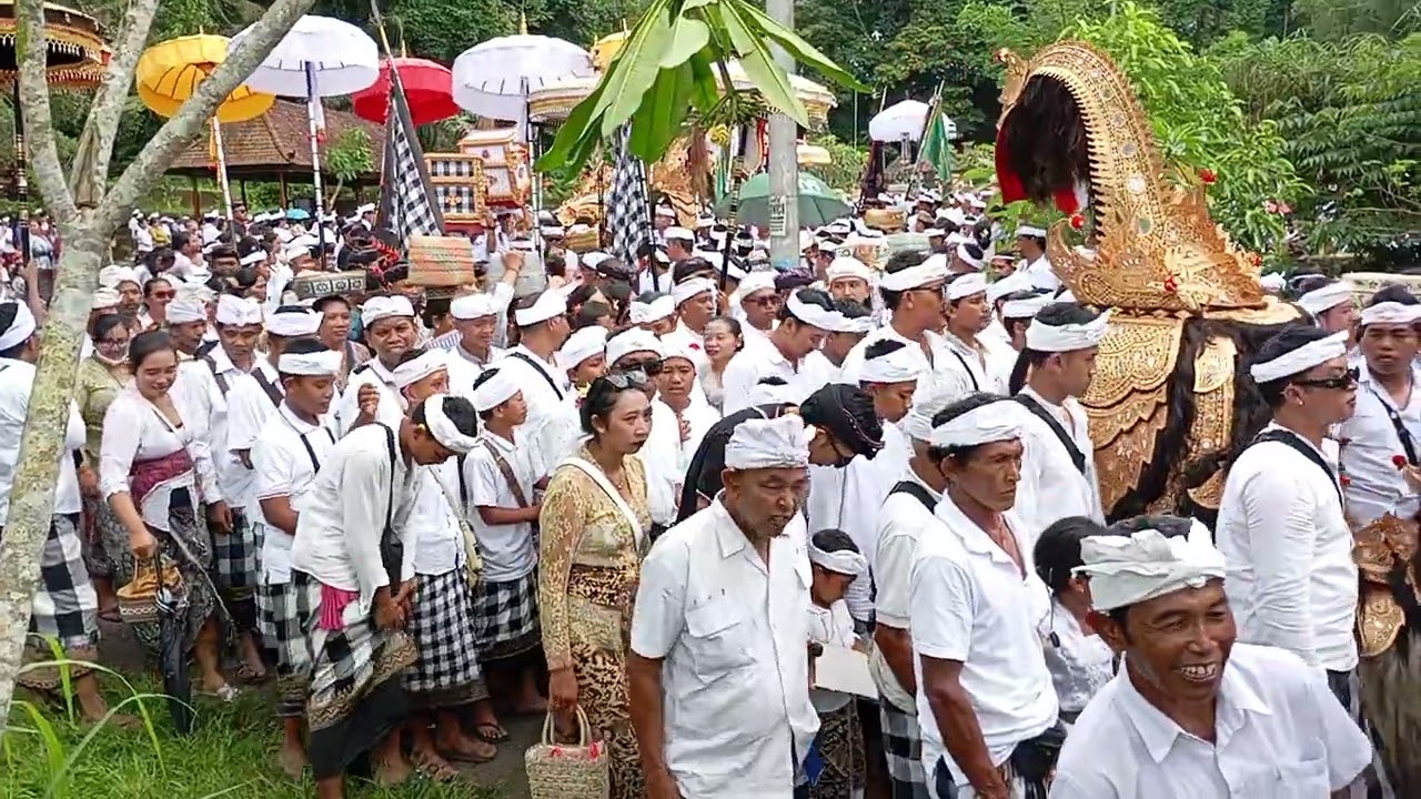 Part 2 puluhan tapakan berkumpul di pura puseh puakan taro 