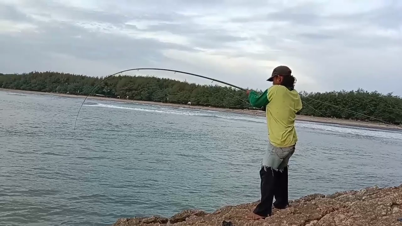 cara pasang umpan untuk mancing ikan gt di spot tebing mlapar pantai serang,