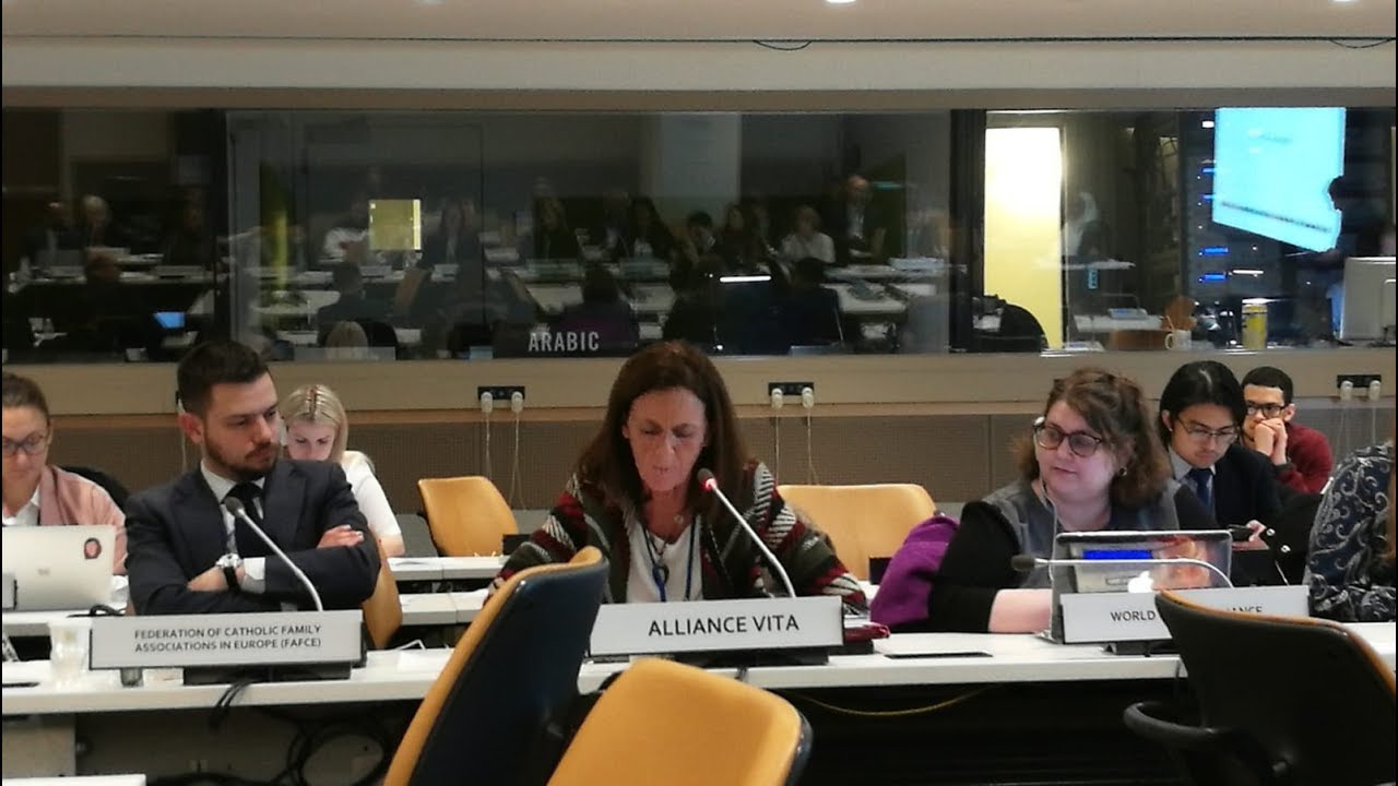 Intervention de Caroline Roux &agrave; l'ONU, le 12 f&eacute;vrier 2019