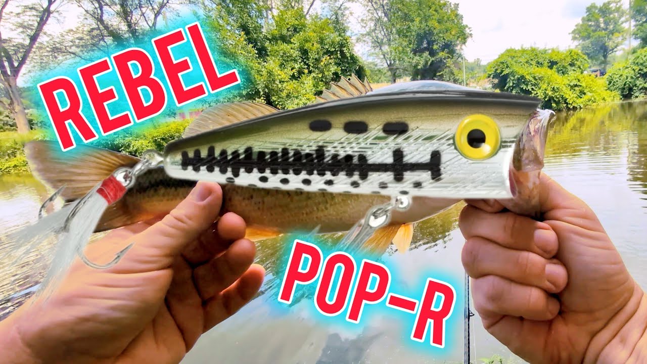 Fishing with Rebel Pop-R & Catching a Largemouth Bass | ASMR 