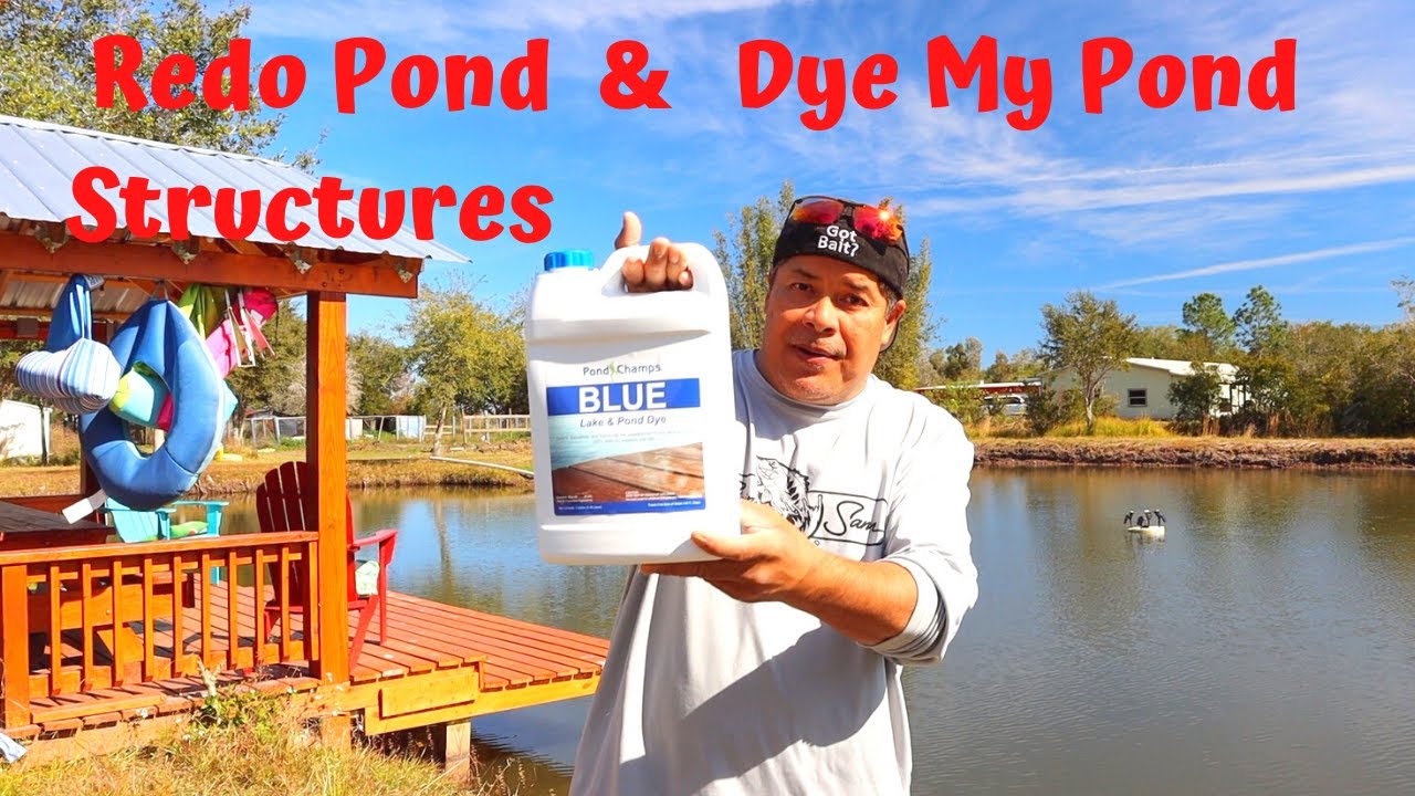 Redo Pond Strutures & Pond Dye