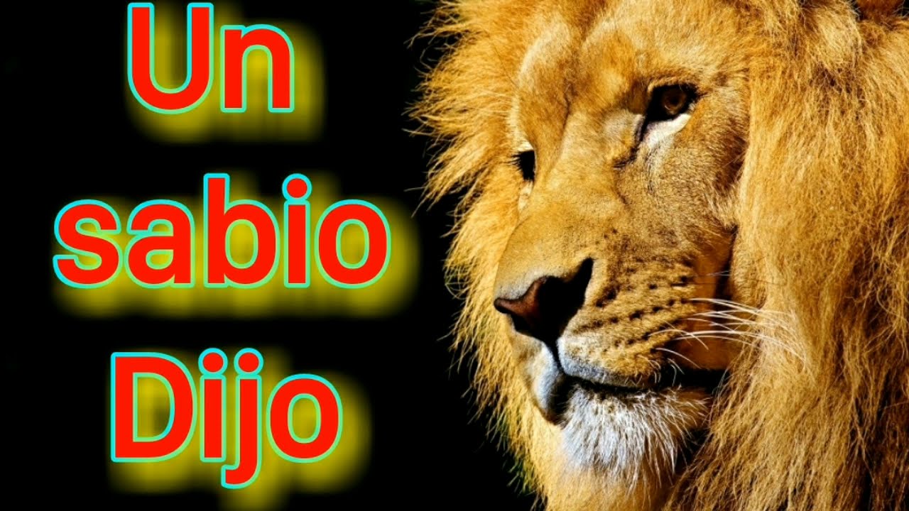LAS MEJORES FRASES DE UN SABIO DIJO