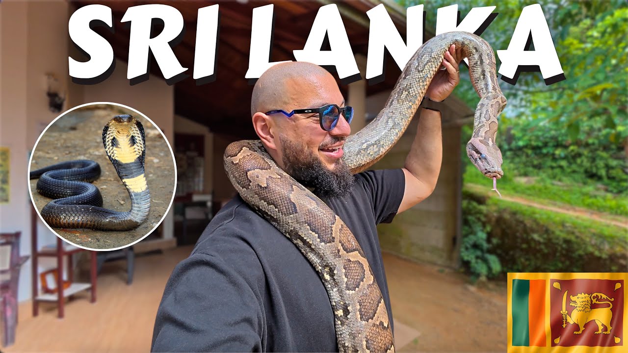 I Went To Snake Exposure Therapy In Sri Lanka 🇱🇰 (again)