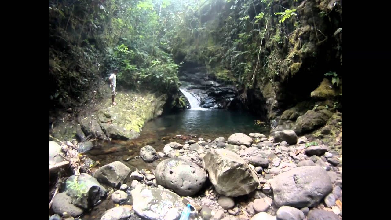 Go Pro randonnée Tahiti Puunui chez Mme Julia et Mr Yannick .mp4