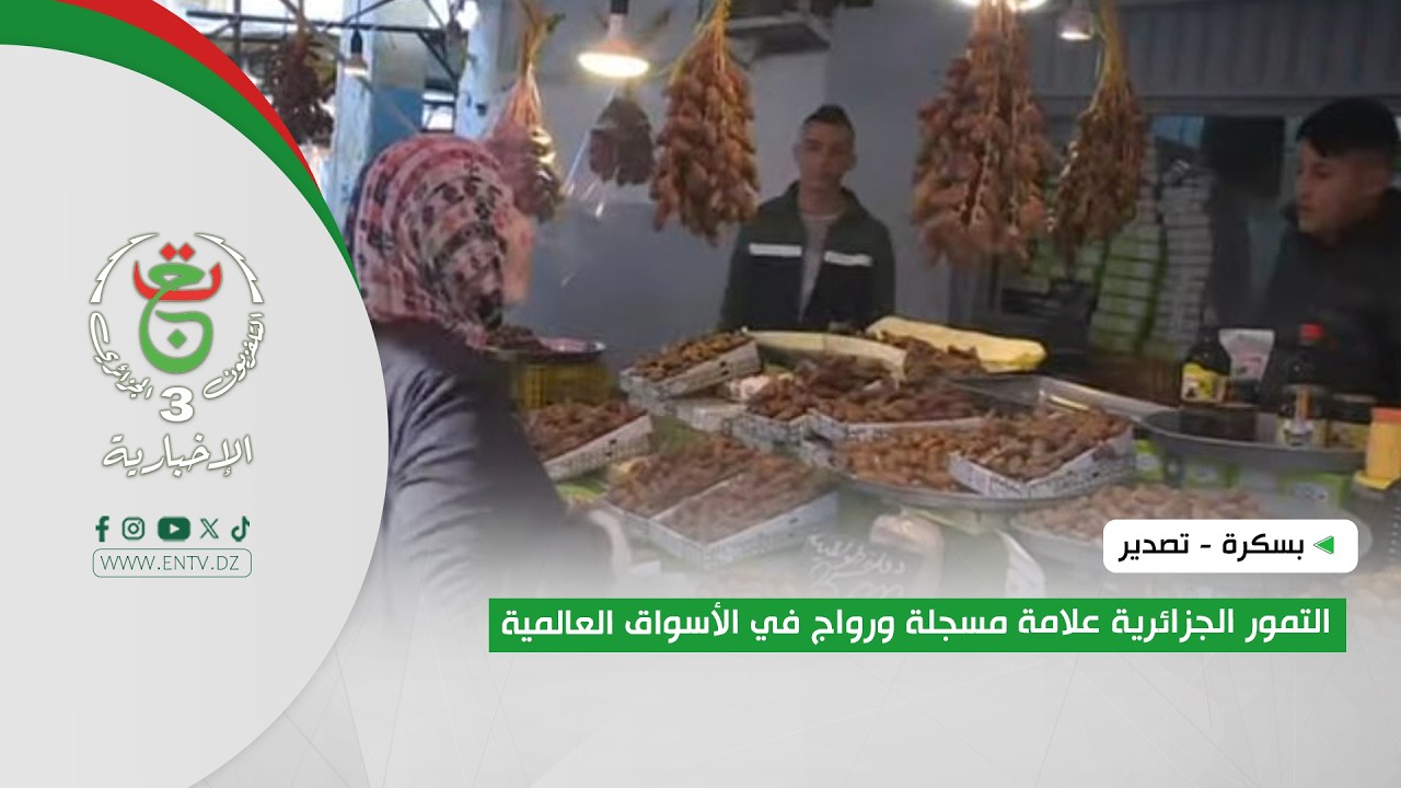 بسكرة - تصدير | التمور الجزائرية علامة مسجلة ورواج في الأسواق العالمية