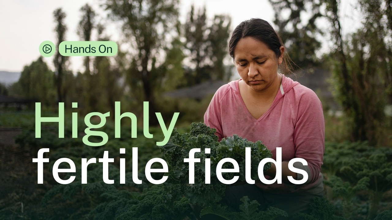How Mexican Indigenous farmers grow food on water