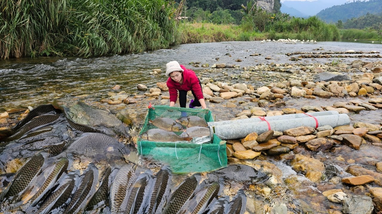 Using a technique of trapping fish in the stream with plastic pipes, Ana caught a large haul of fish