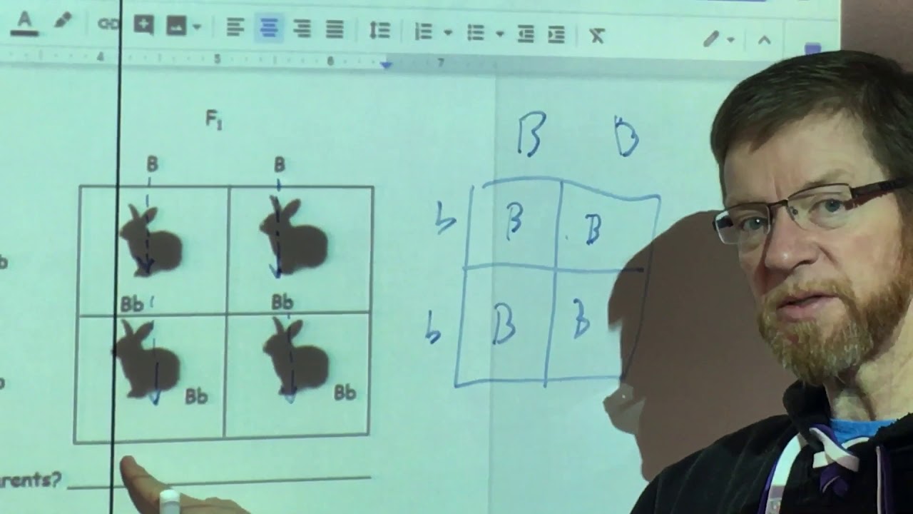 Pg. 32 Rabbits Punnet Square