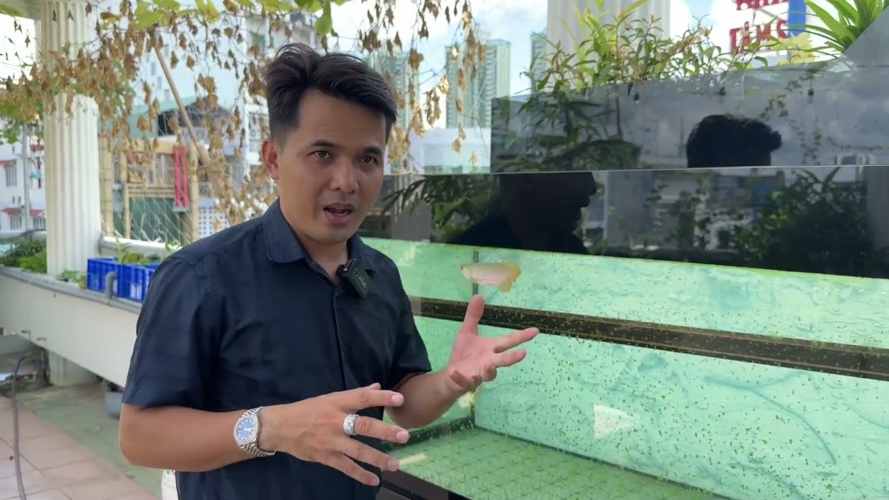 Cách chăm 1 con c.á từ nhỏ tới lớn