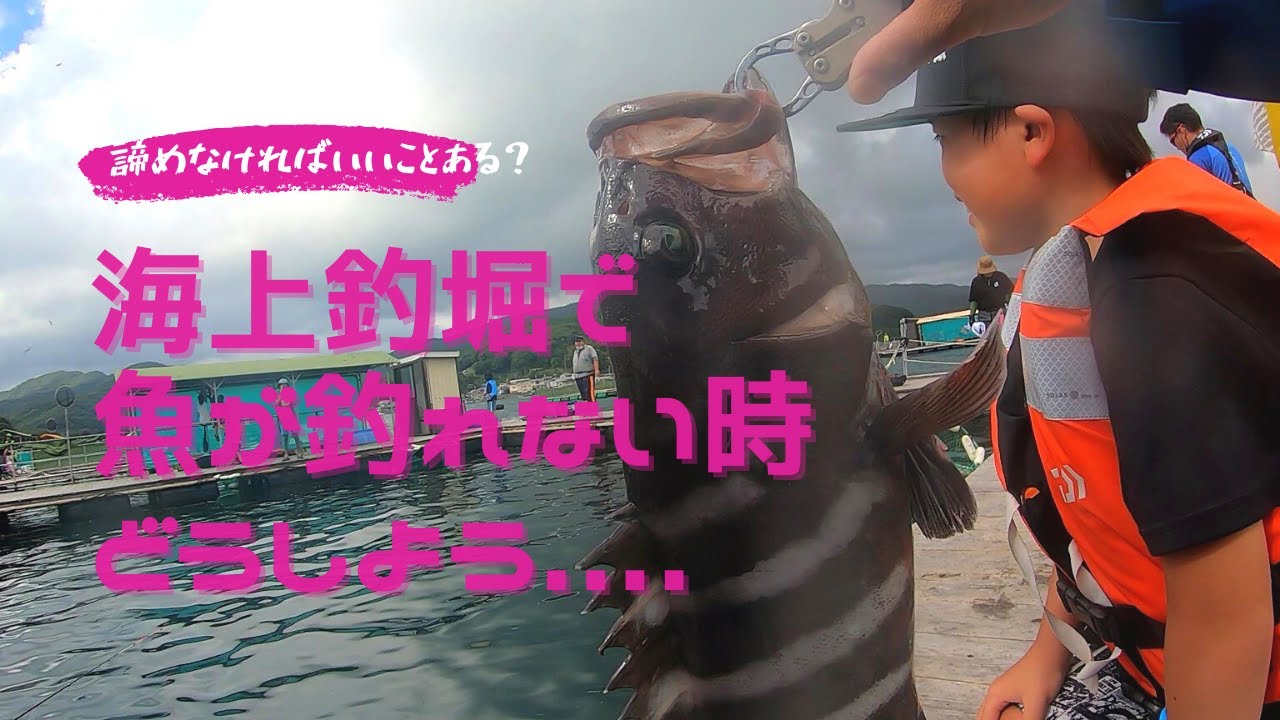 今日ボウズかも....海上釣堀で釣れない時にしてること