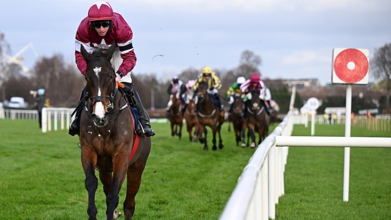 Ballyfad 12/1 for Supreme as he emulates Kopek Des Bordes with Leopardstown win | Racing TV