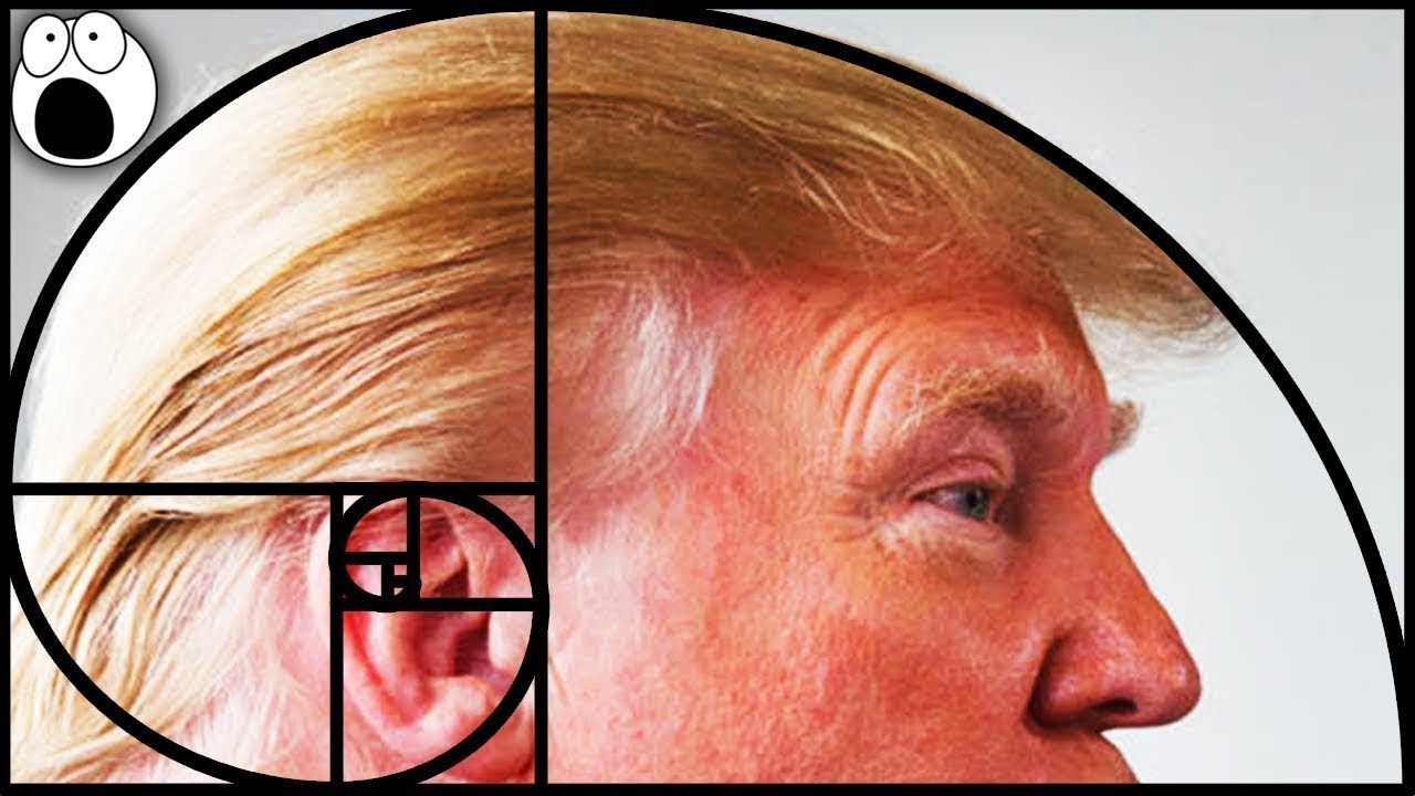 Places You Won't Believe The Golden Ratio & Fibonacci Sequence Appears
