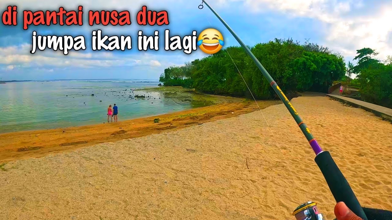 Casting di pantai nusa dua dan pantai sawangan bali, ikan ini dimana pun selalu hadir
