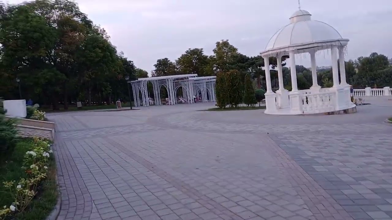 11 августа 2024 г.