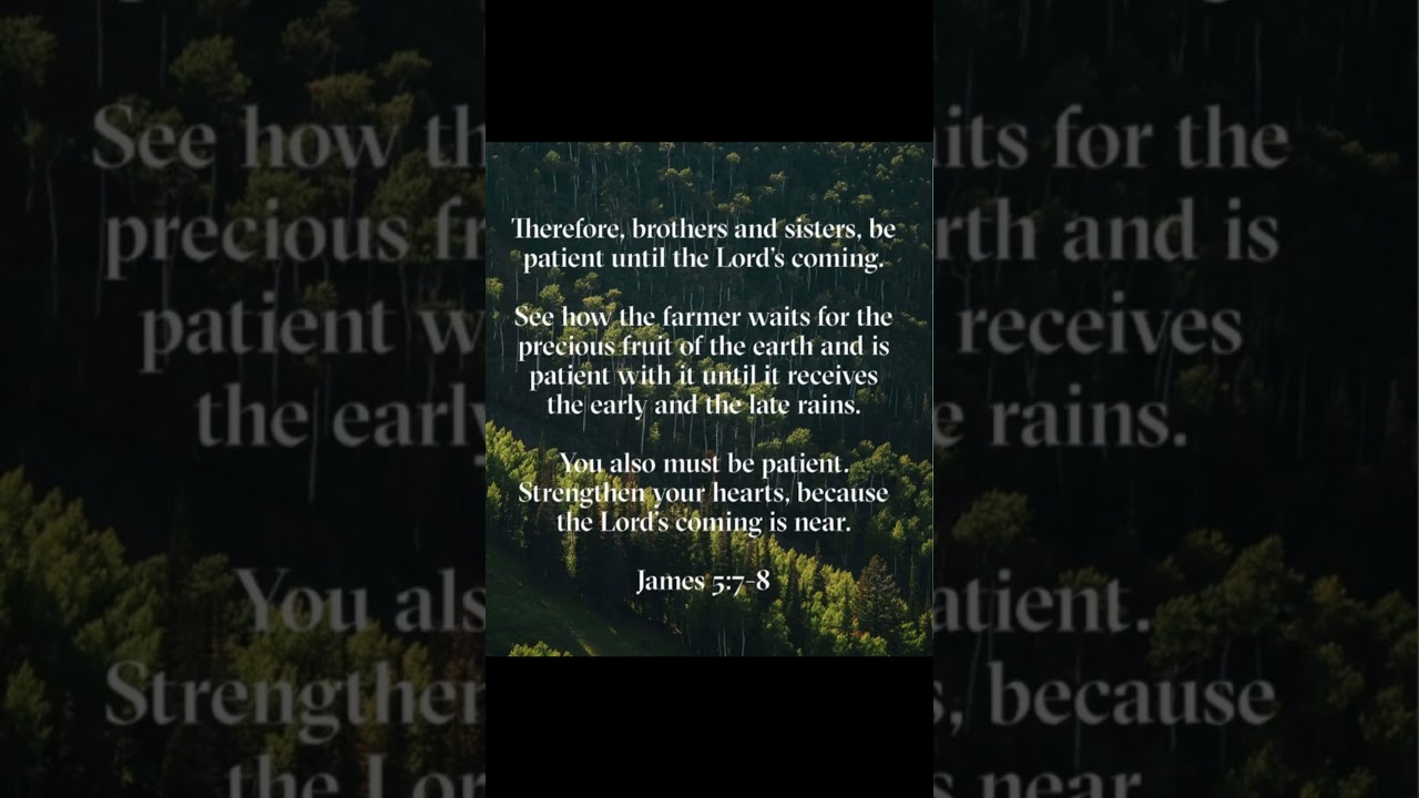 😍Advent 2️⃣0️⃣2️⃣5️⃣ - Week 3️⃣🙏🏽Reflection by *Clarice Beeput*