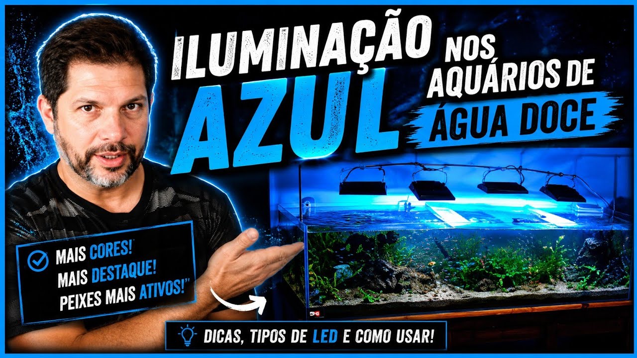 Iluminação AZUL nos aquários de ÁGUA DOCE