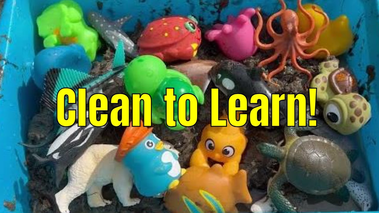 Clean Ocean Toys: Kids Learning!