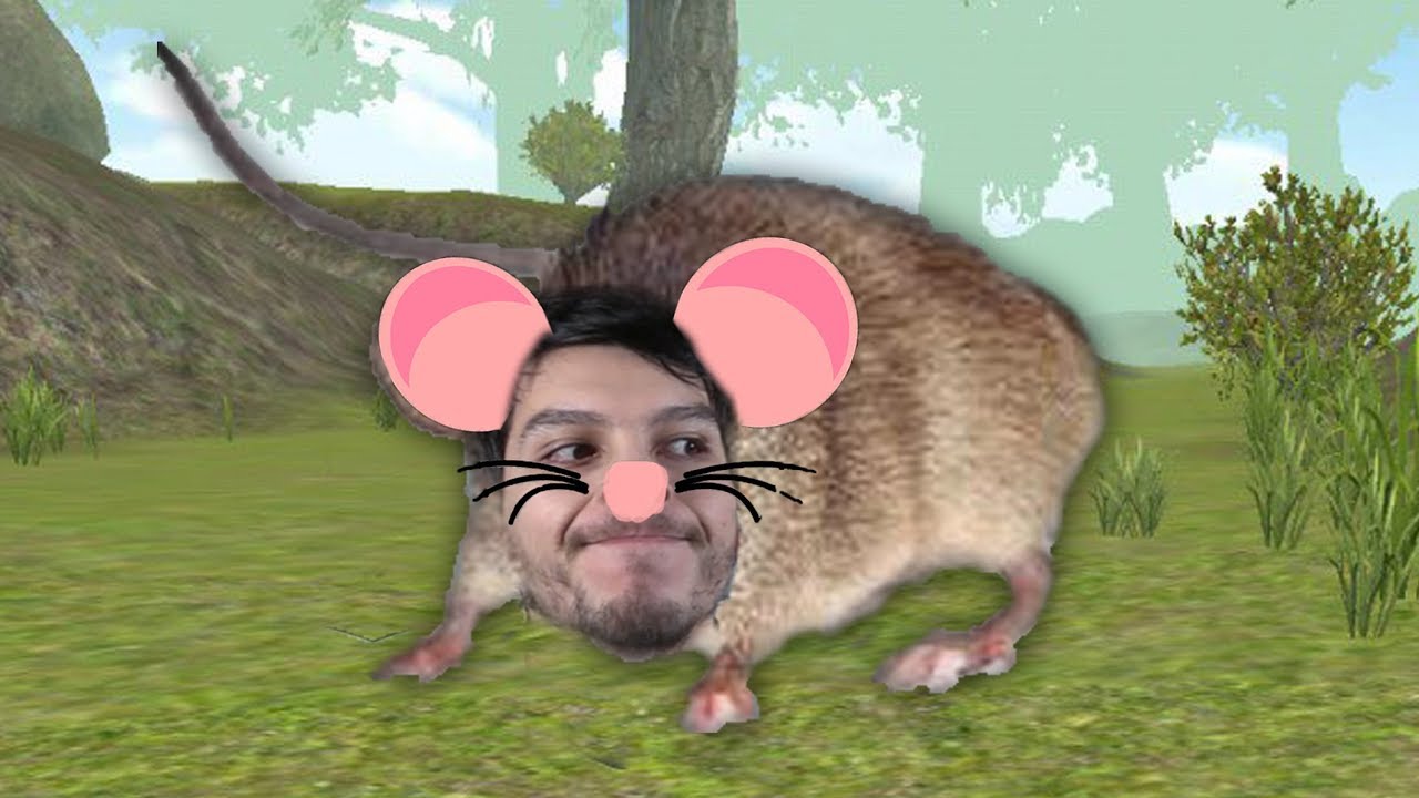 Simulador de Rata. | DeGoBooM