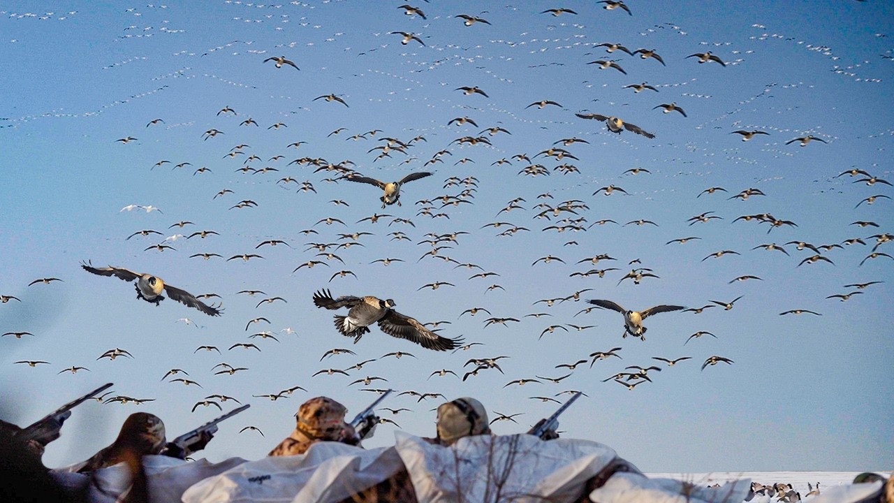HUNTING IN THE SNOW IS CHEATING!! LIMITED OUT