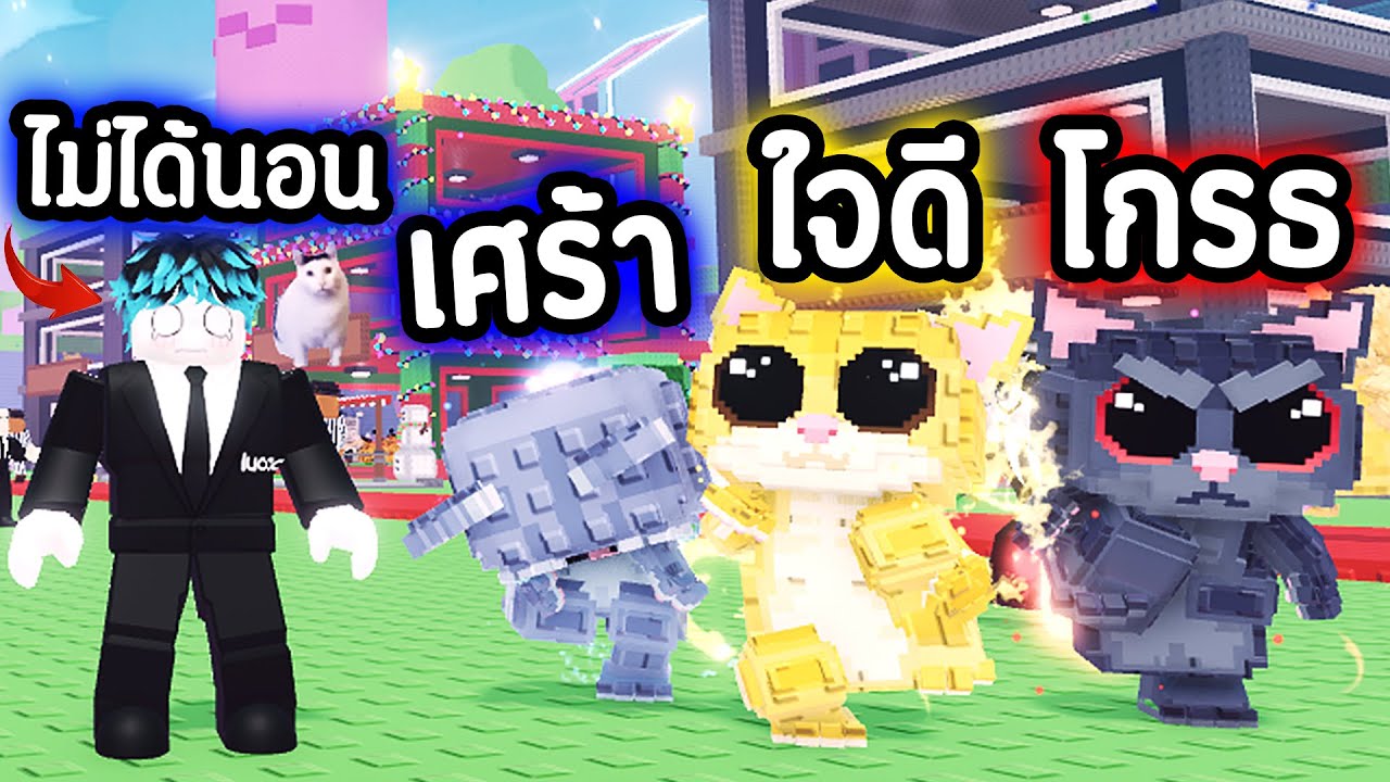 ผมอดนอน ถึงตี 5🔥 เพื่อลูกแมว 3 อารมณ์ !!!!😍❤️ Roblox Steal a Brainrot