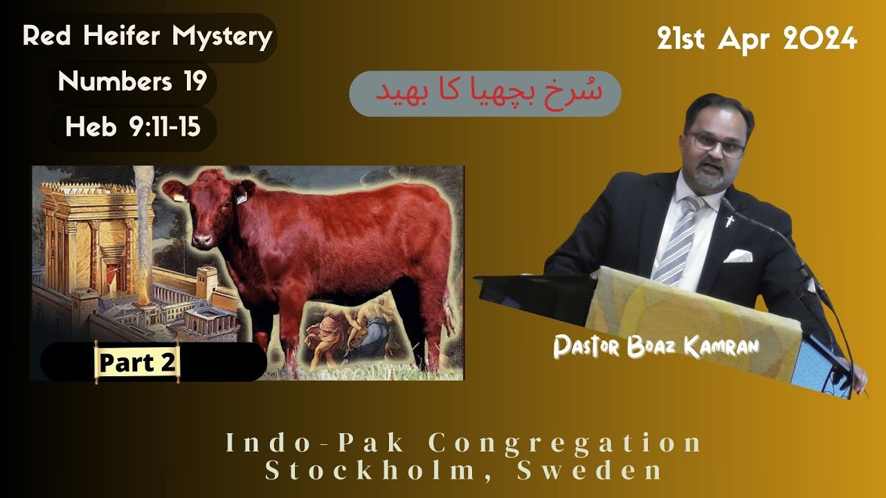Pastor Boaz Kamran- Red Hiefer Mystery- Part2- 21Apr2024