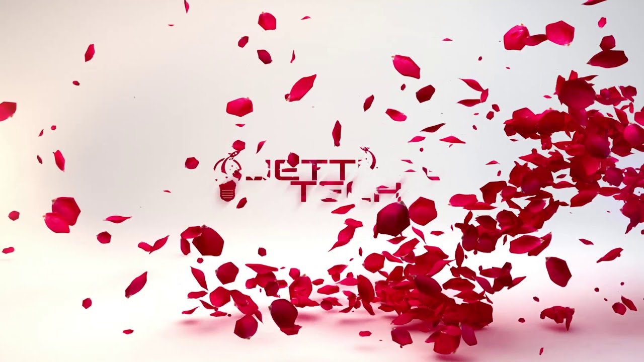 JETTLIFE TECH   Testing Video Promo Video Templates  Rose petals