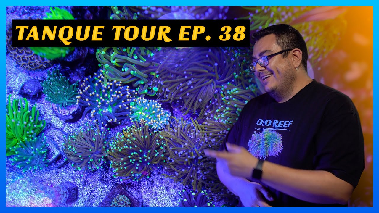 TANQUE TOUR Ep. 38 / Jorge Ornelas