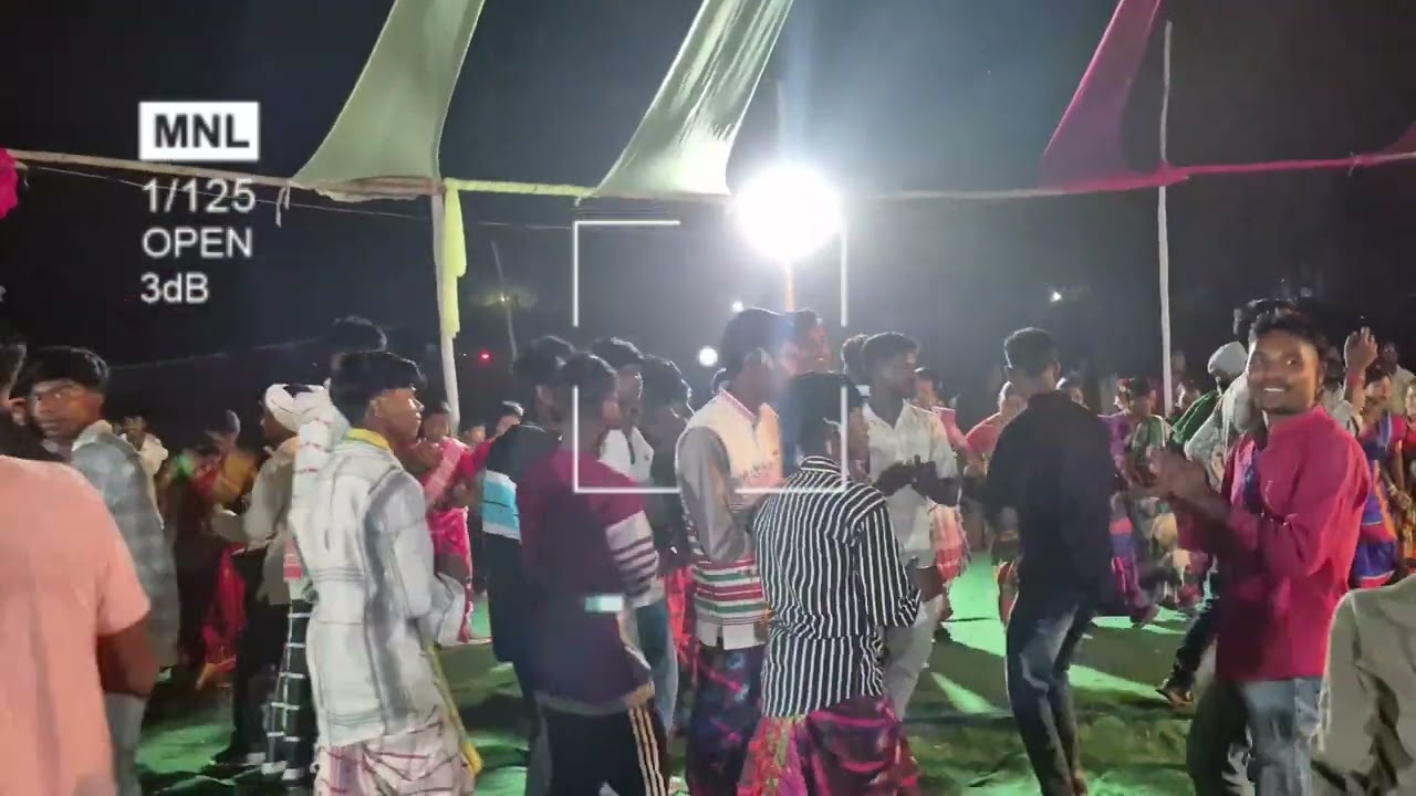 Sarulpuja#video#vireal#creator#santhalivideo 