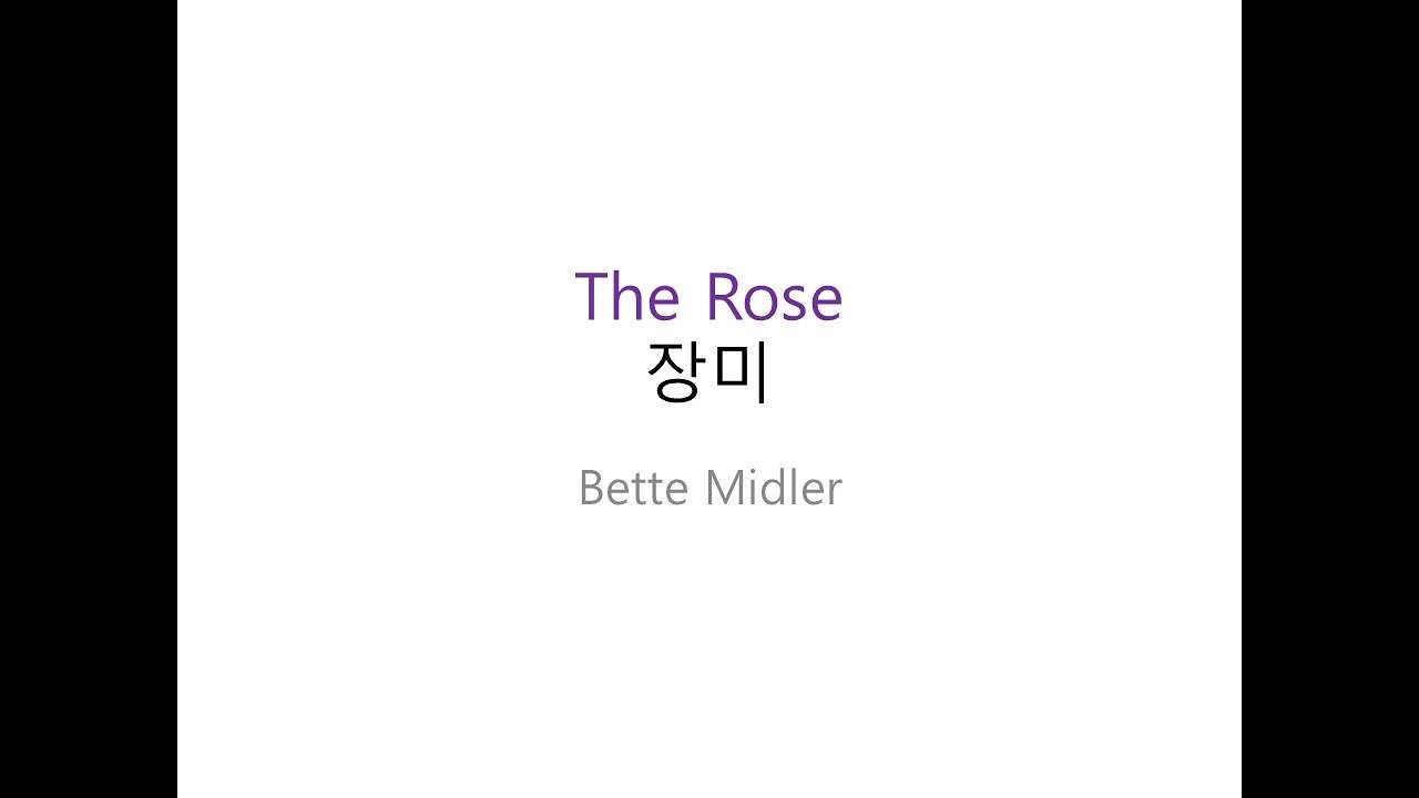 The Rose - Bette Midler (장미) 1시간 연속 듣기 | 한글 가사 해석 팝송으로 배우는 영어, 영어 단어, 영어 회화, 영어 듣기, 영어 문법