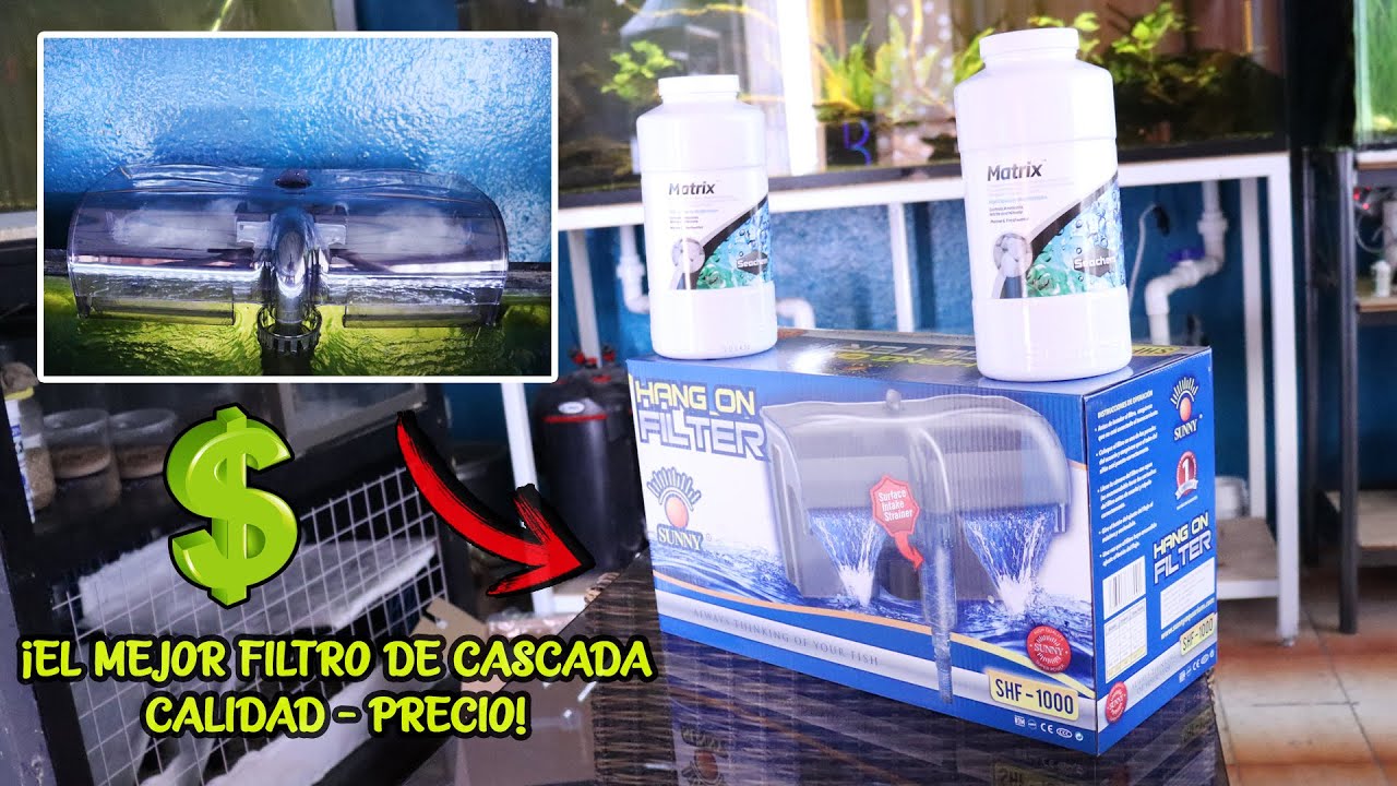 Este es ¡EL MEJOR FILTRO DE CASCADA! calidad-precio MÁS INSTALACIÓN | AcuariosLP