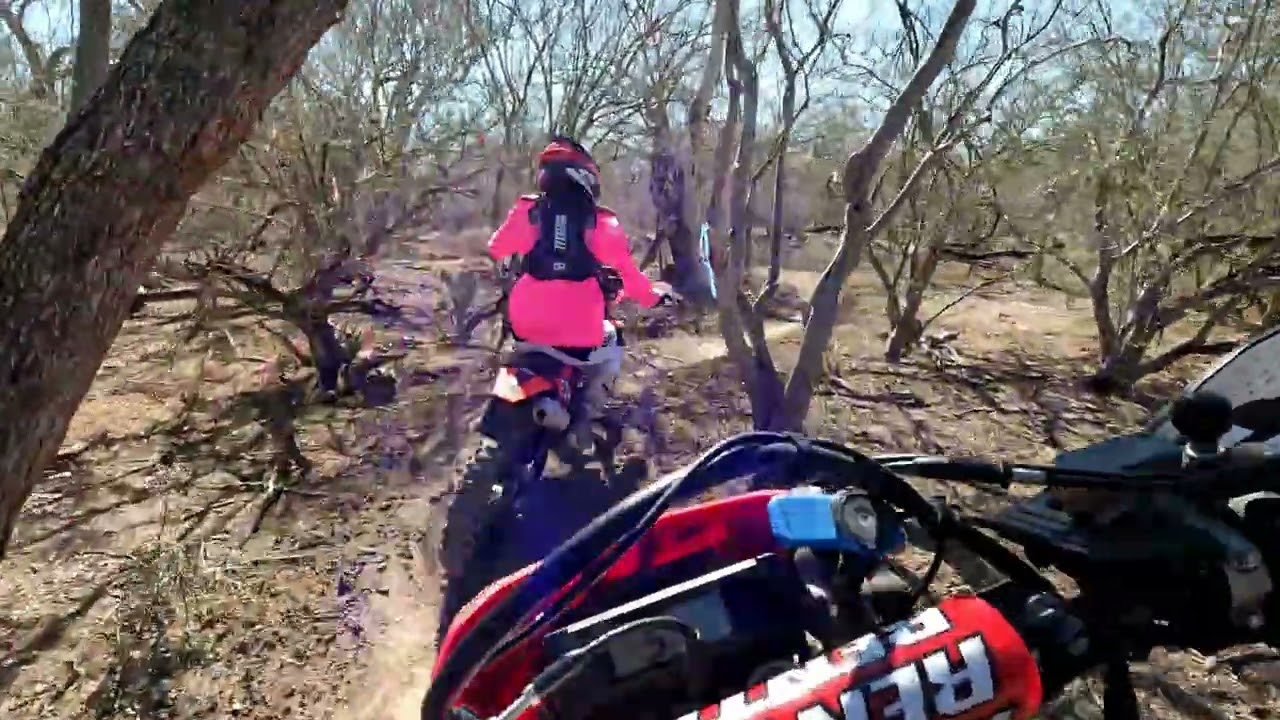 2026 TORCS Zars Sunday CRF450L