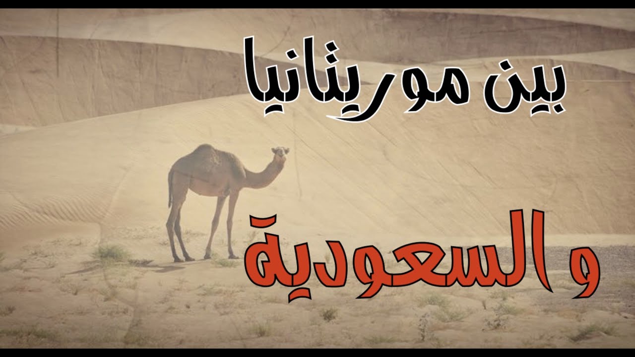 احداث في مناطق برية وقصتين بين موريتانيا و السعودية #قصص #قصة #جن #واقعية #حقيقية #رعب