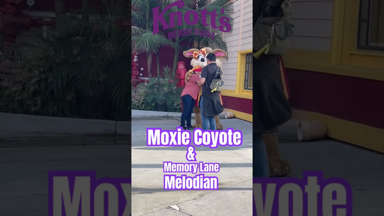 MOXIE COYOTE & MEMORY LANE MELODIAN 