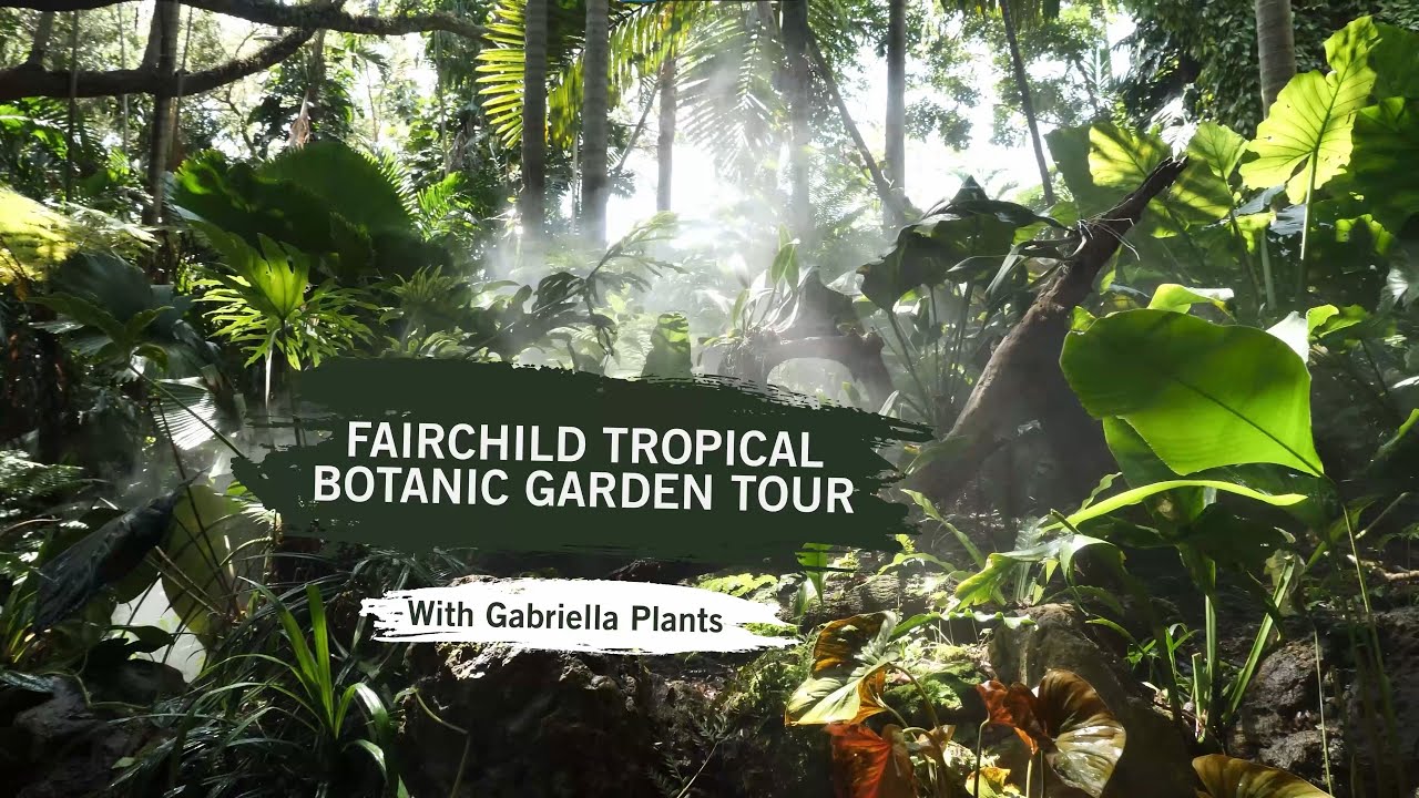 Exploring Fairchild Tropical Botanic Garden with Brett Cypress (Gabriella Plants)