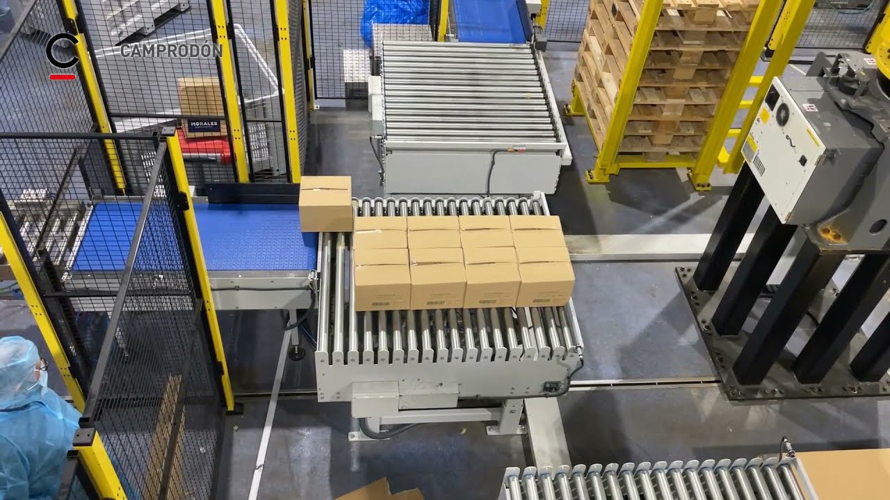 Sorter con mesa formadora de capas para paletizado