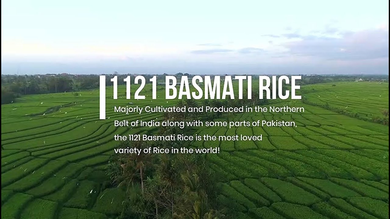 Best Basmati Rice Producer & Exporter in India (Karnal) - Rajesh Industries Corporate Film